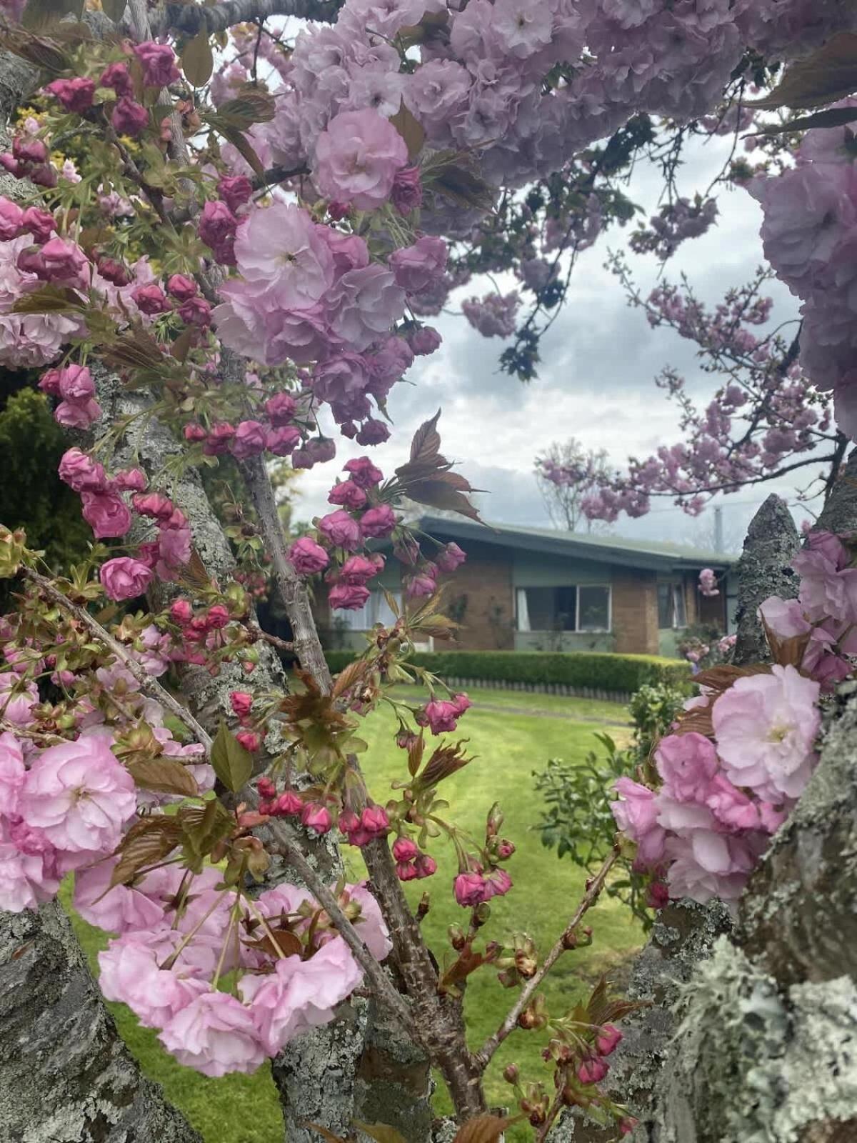 Roselake Retreat Роторуа Экстерьер фото